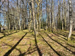  Maison 5 pi�ces 142 m� Ambazac