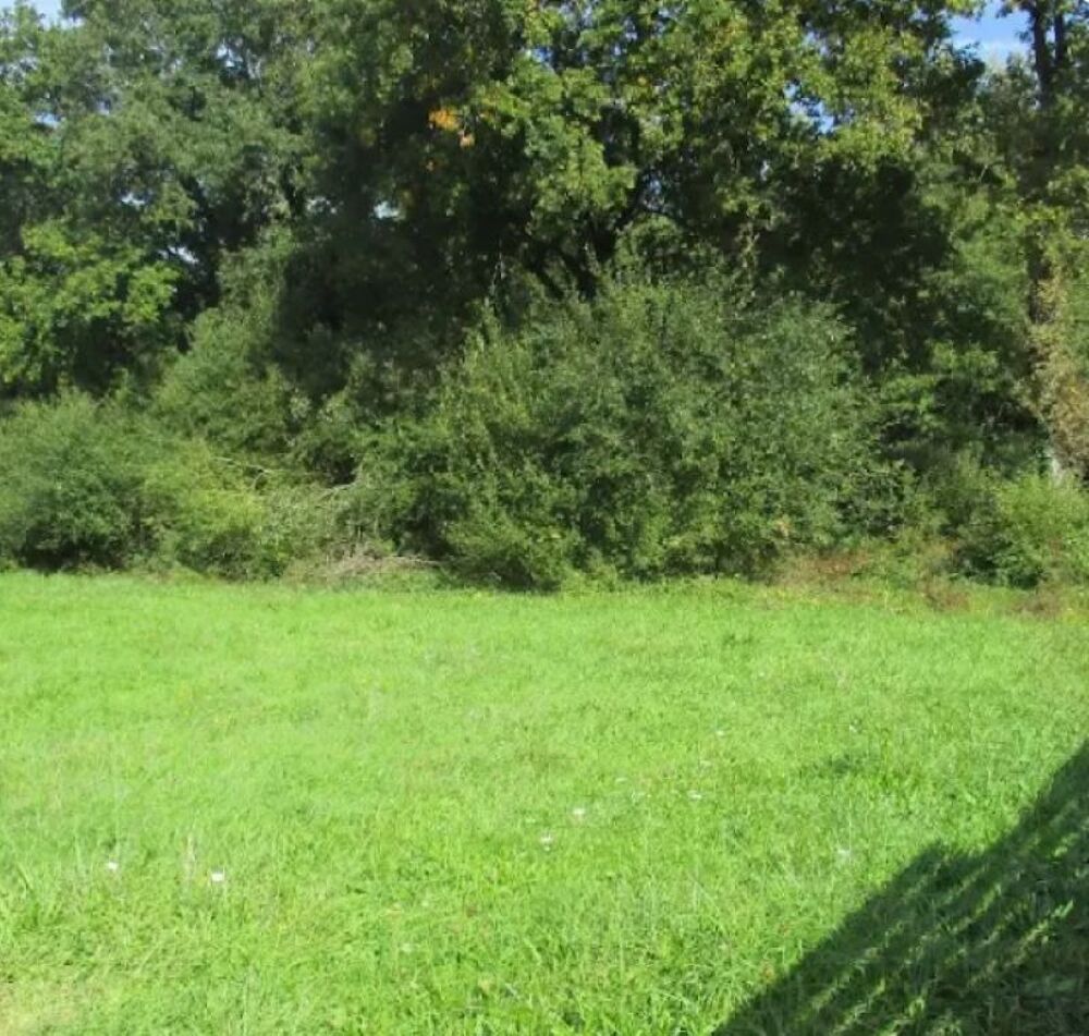 vente Maison - 3 pièce(s) - 61 m² Vairé (85150)