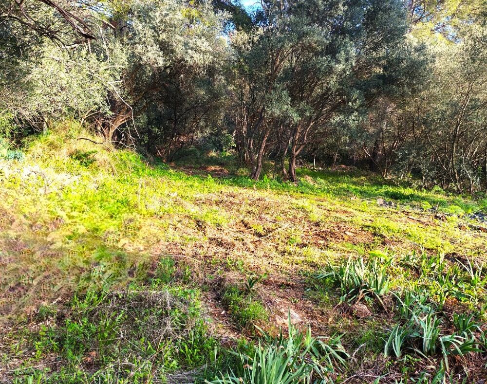 vente Terrain - 442 m² Toulon (83200)