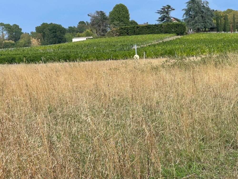 vente Terrain - 570 m² Camblanes-et-Meynac (33360)