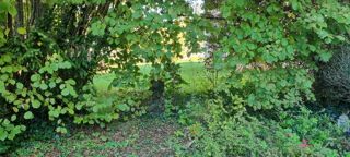  Maison à vendre 4 pièces 80 m²