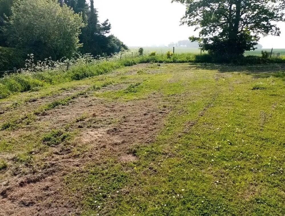 vente Terrain - 374 m² Ancretteville-sur-Mer (76540)