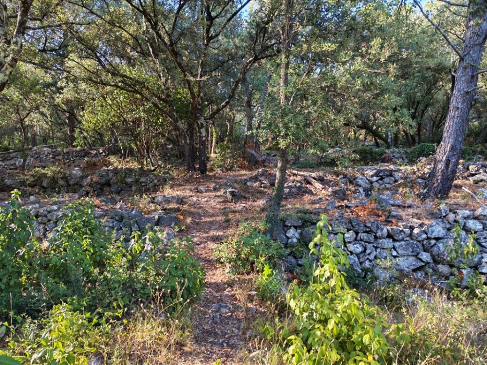vente Terrain - 1920 m² Camps-la-Source (83170)