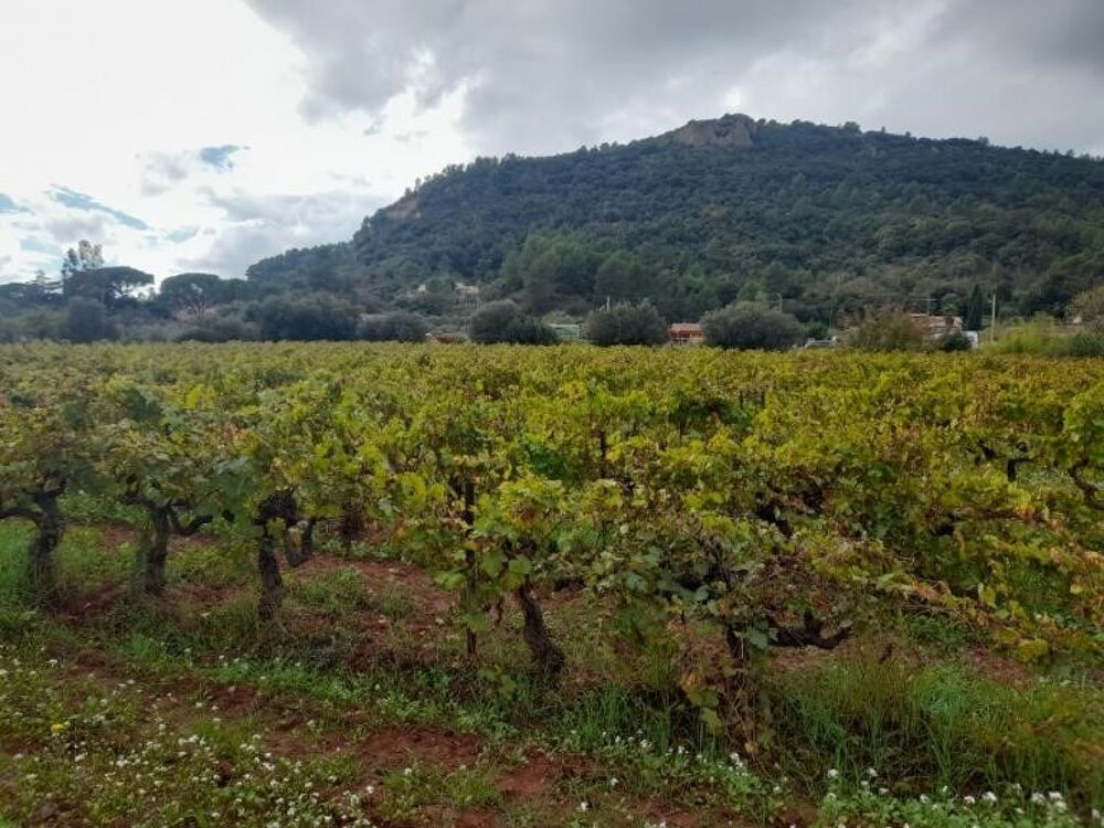 vente Maison - 3 pièce(s) - 65 m² Puget-Ville (83390)