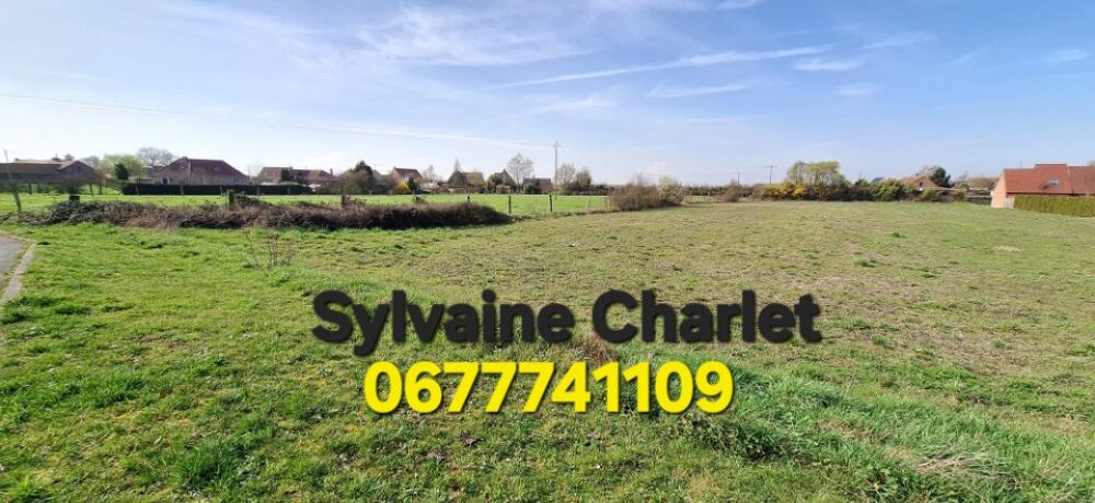 vente Maison - 5 pièce(s) - 135 m² Hantay (59496)