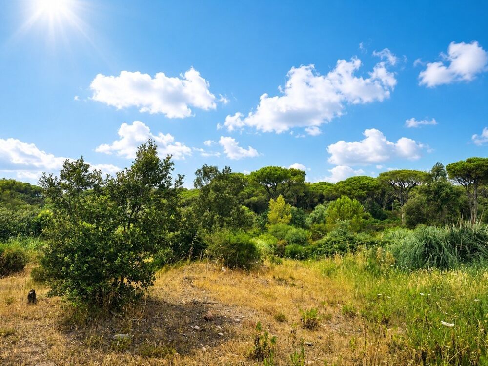 vente Maison - 4 pièce(s) - 95 m² Fréjus (83600)