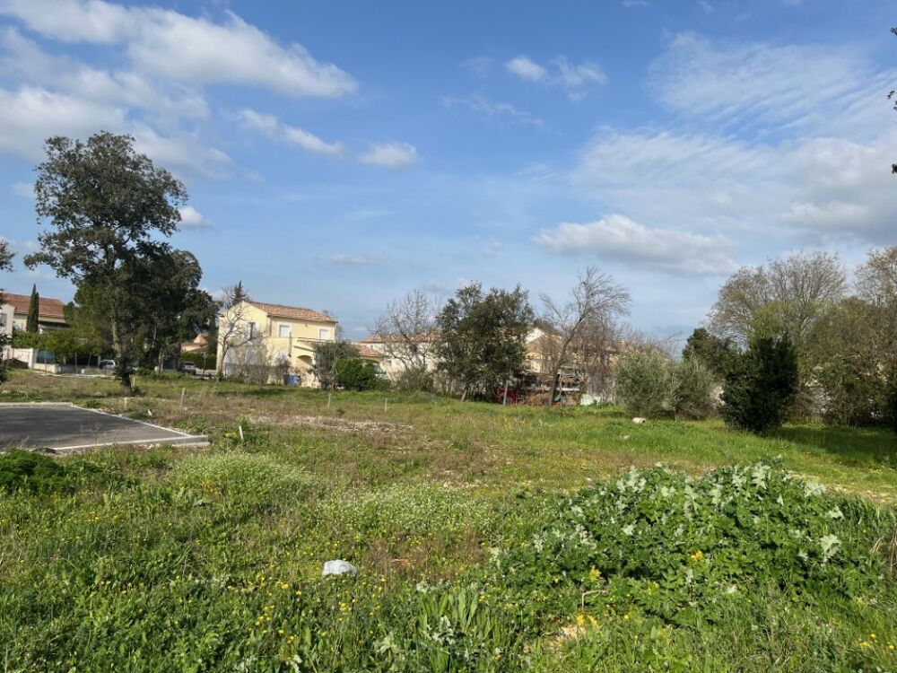 vente Terrain - 353 m² Bollène (84500)