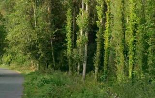  Terrain � vendre 854 m�