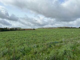  Terrain  vendre 350 m