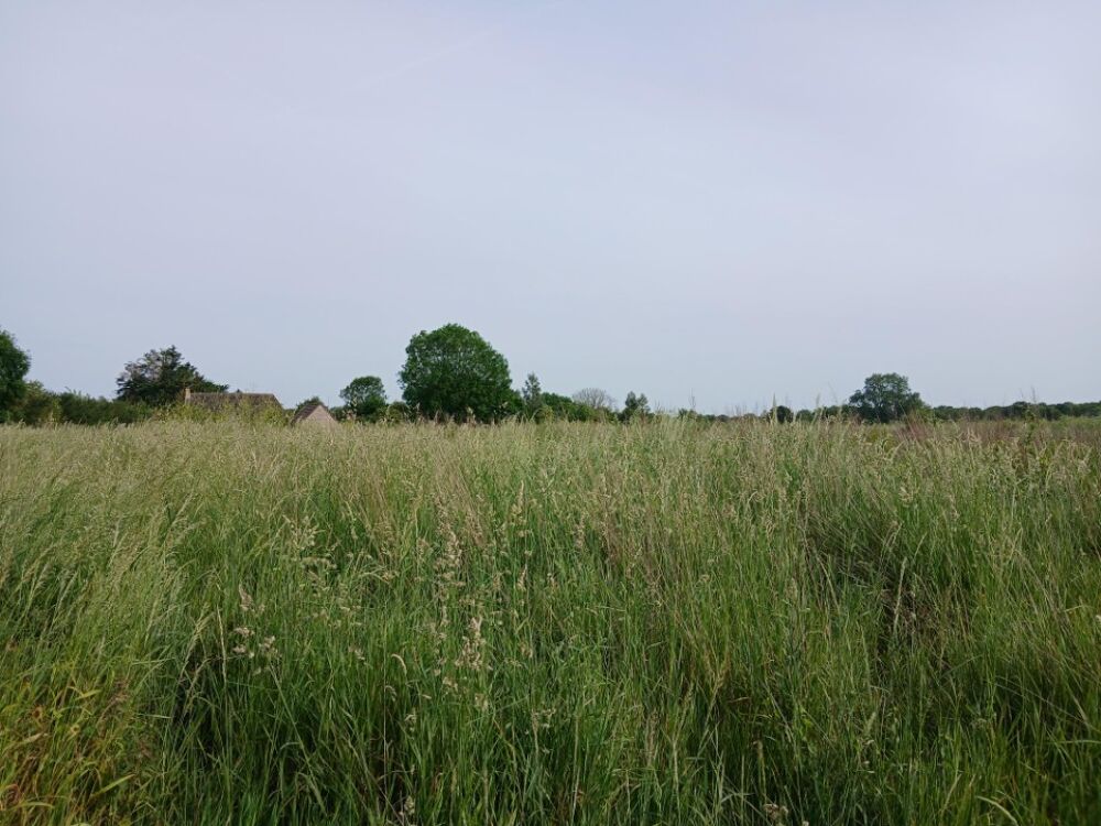 vente Terrain - 550 m² Formigny (14710)