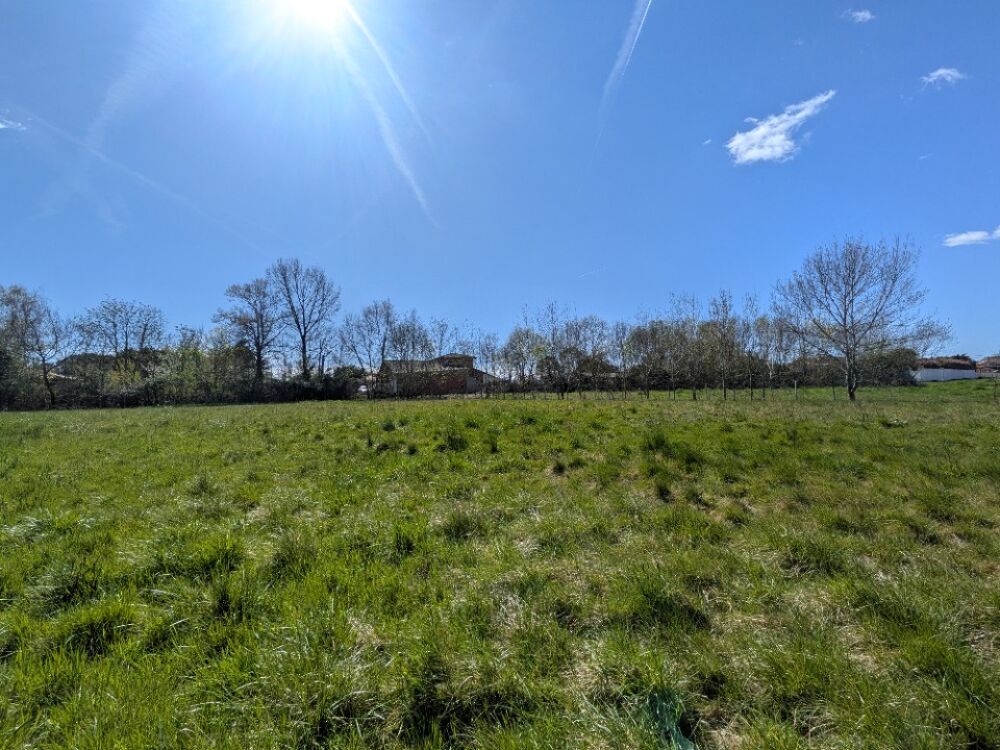 vente Maison - 7 pièce(s) - 155 m² Rieumes (31370)