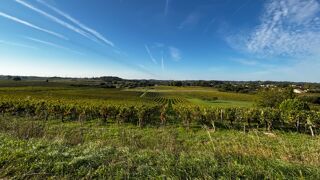  Terrain à vendre 2500 m²