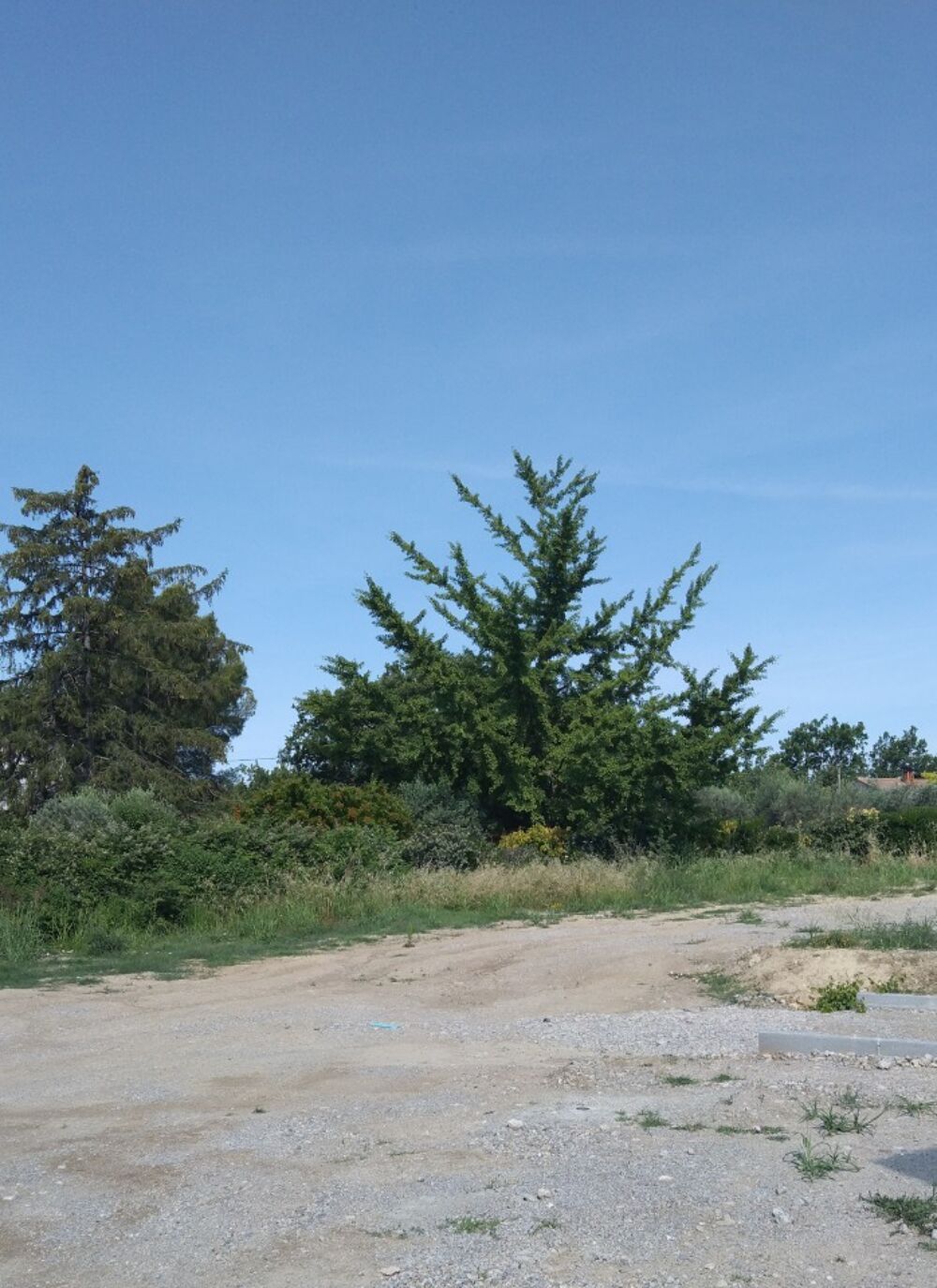 vente Maison - 4 pièce(s) - 90 m² Pierrevert (04860)