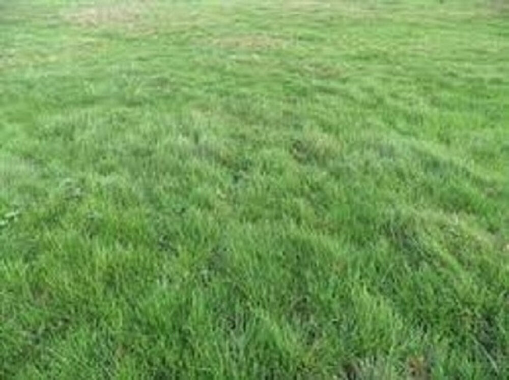 vente Terrain - 779 m Provins (77160)