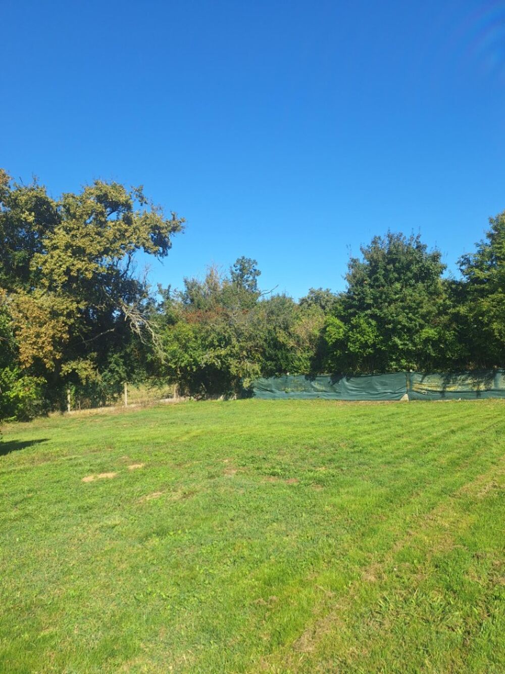 vente Terrain - 412 m² Blagnac (31700)