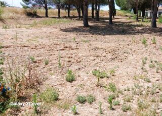  Maison 6 pièces 130 m² Perpignan