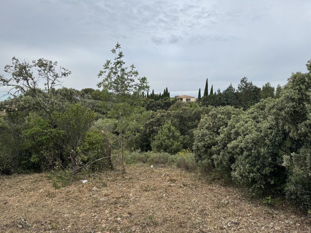 vente Terrain - 384 m² Villeneuve-lès-Avignon (30400)