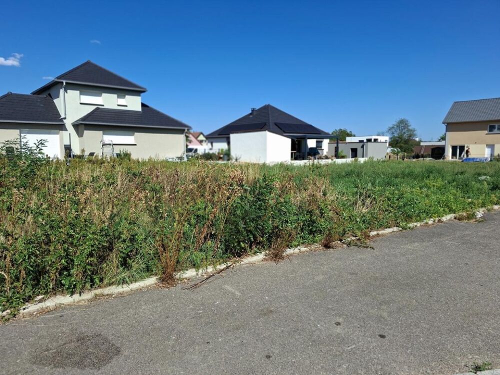 vente Maison - 4 pièce(s) - 81 m² Issenheim (68500)