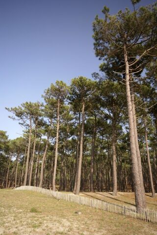  Terrain � vendre 355 m�