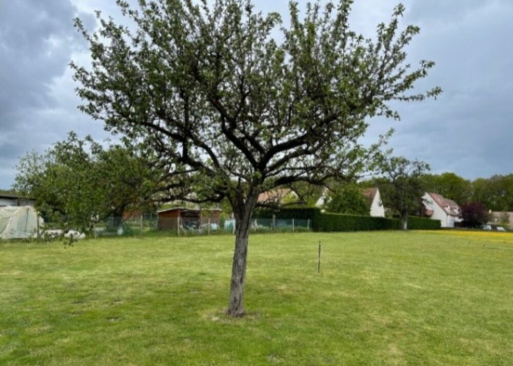 MAISON À CONSTRUIRE DE 120 M² PROCHE GARE À WISSOUS, À 1....