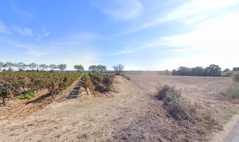 vente Terrain - 370 m² Alignan-du-Vent (34290)