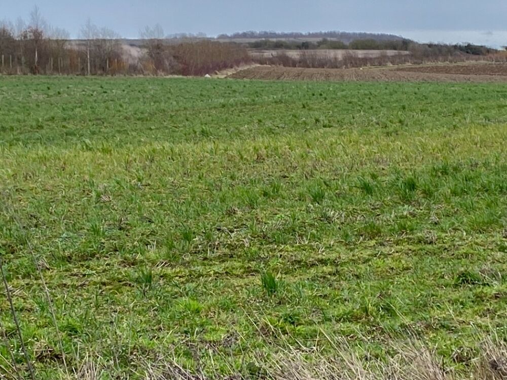 vente Maison - 4 pièce(s) - 90 m² Wimille (62126)