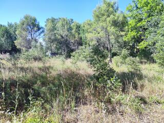  Maison 3 pi�ces 75 m� N�oules