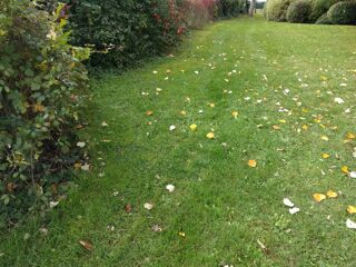  Terrain � vendre 300 m�