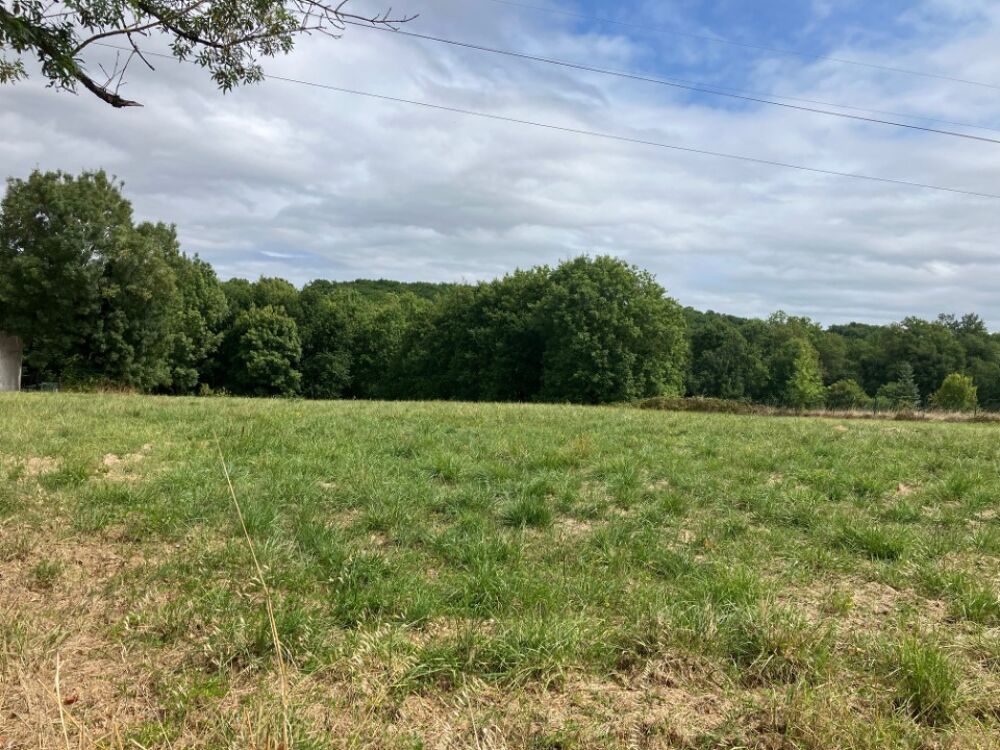 vente Terrain - 1400 m² Fontcouverte (17100)