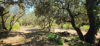  Terrain à vendre 870 m²