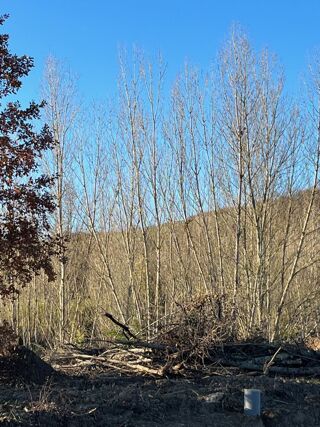  Terrain � vendre 742 m�