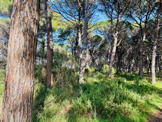  Terrain à vendre 550 m²
