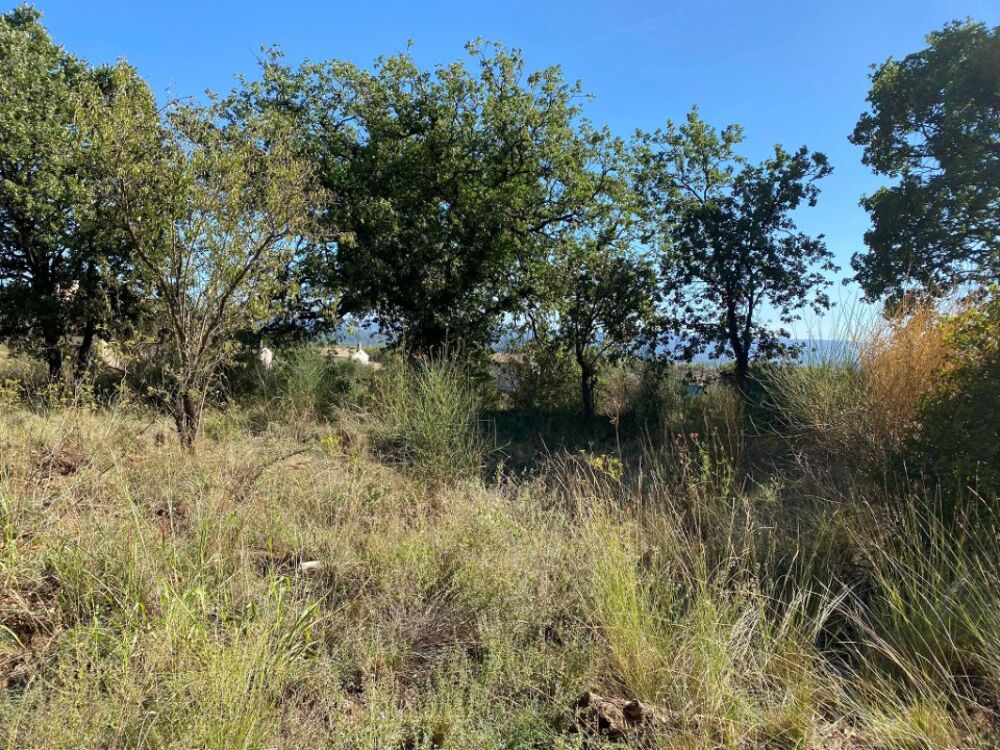 vente Terrain - 715 m² Puget-Ville (83390)