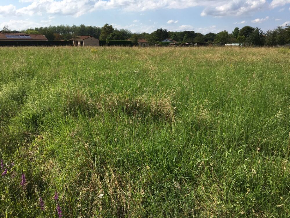 vente Terrain - 530 m² Bâgé-la-Ville (01380)
