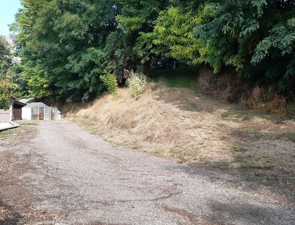 vente Terrain - 1460 m² Olwisheim (67170)