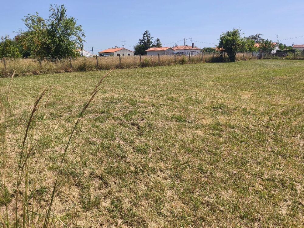 vente Terrain - 980 m² Chaillevette (17890)