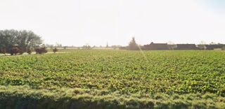  Maison 6 pi�ces 125 m� Fleurbaix