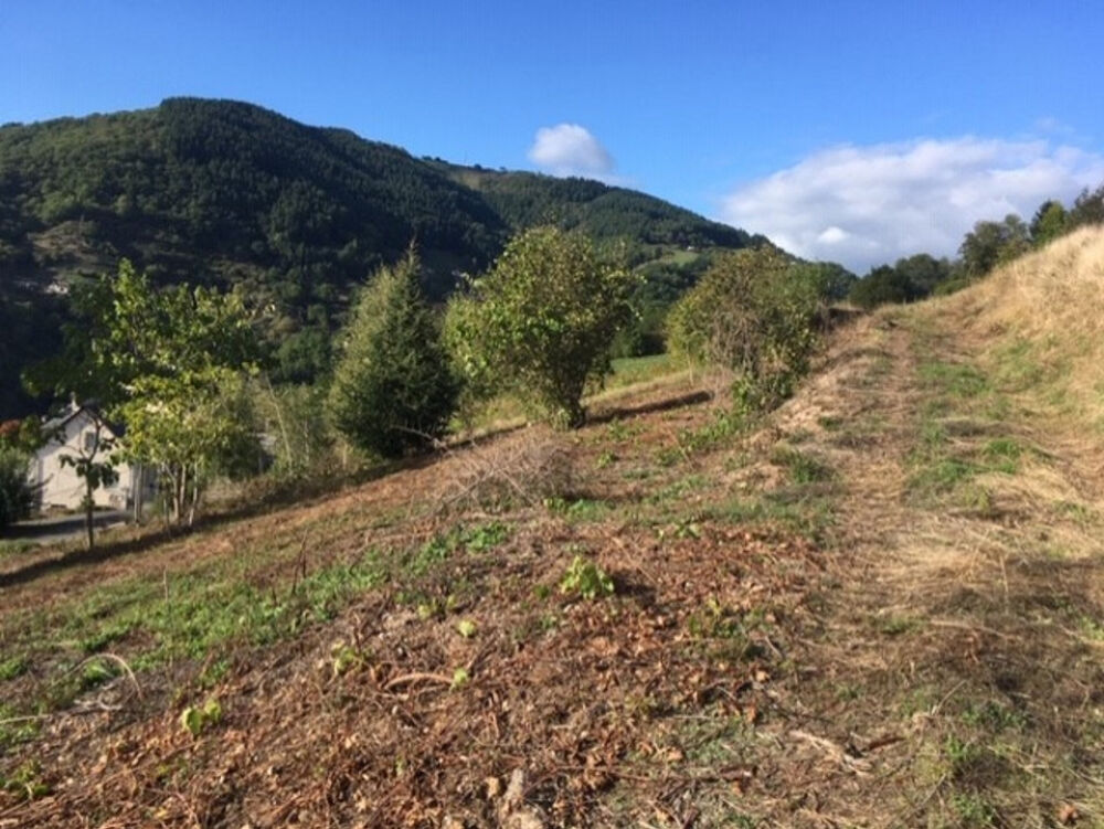 vente Terrain - 1300 m² Entraygues-sur-Truyère (12140)