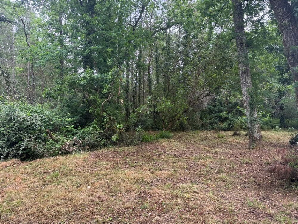vente Terrain - 1220 m² Saint-Aubin-de-Médoc (33160)
