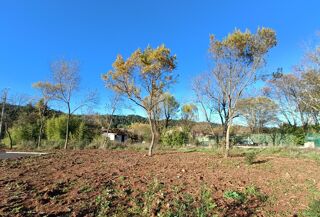  Terrain � vendre 393 m�