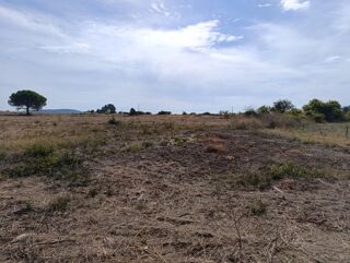  Terrain � vendre 335 m�