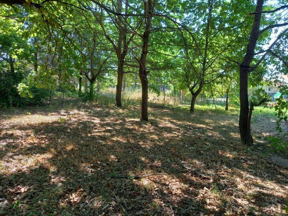 vente Maison - 5 pièce(s) - 88 m² Gaillac (81600)