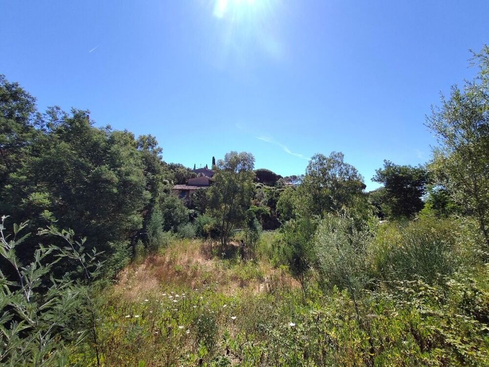 vente Terrain - 1568 m² Sainte-Maxime (83120)