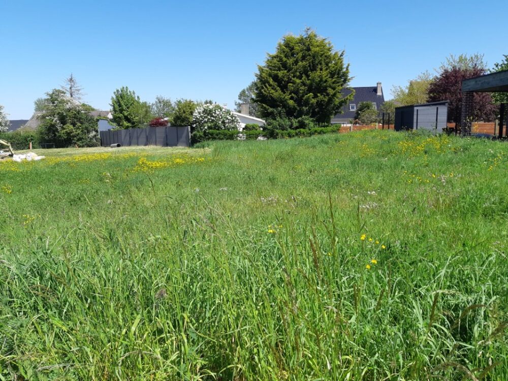 vente Terrain - 401 m² Bois-Bernard (62320)