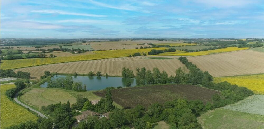 vente Terrain - 1000 m² Sainte-Livrade (31530)