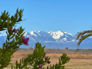  Terrain 357 m� Prades