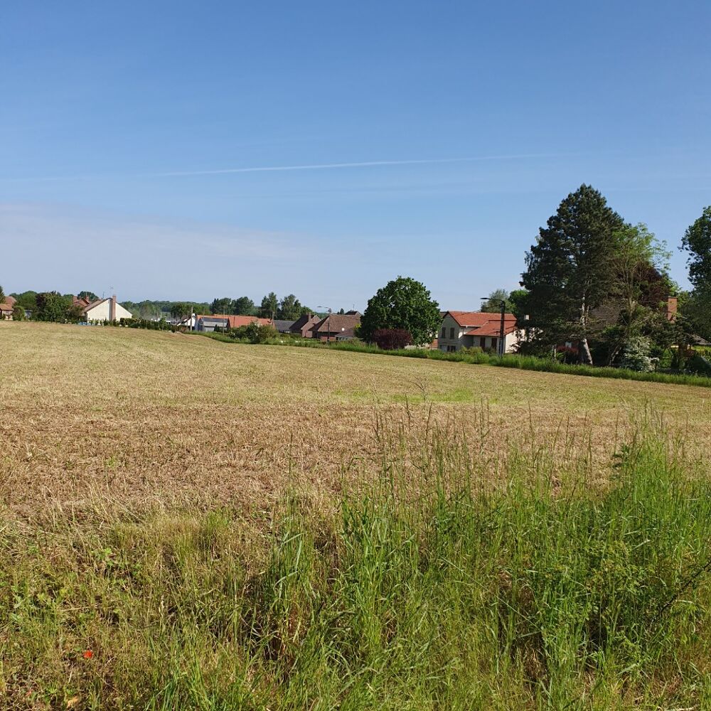 vente Terrain - 917 m² Wailly (62217)