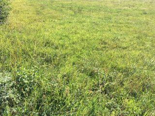  Terrain 425 m� P�ronnas