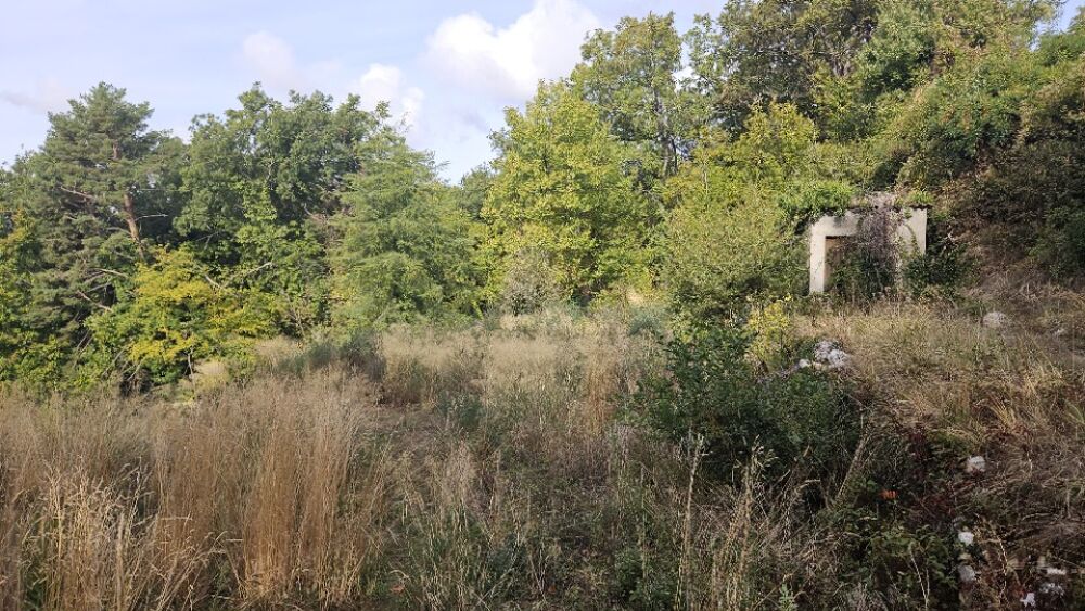 vente Terrain - 1174 m� Saint-Vallier-de-Thiey (06460)