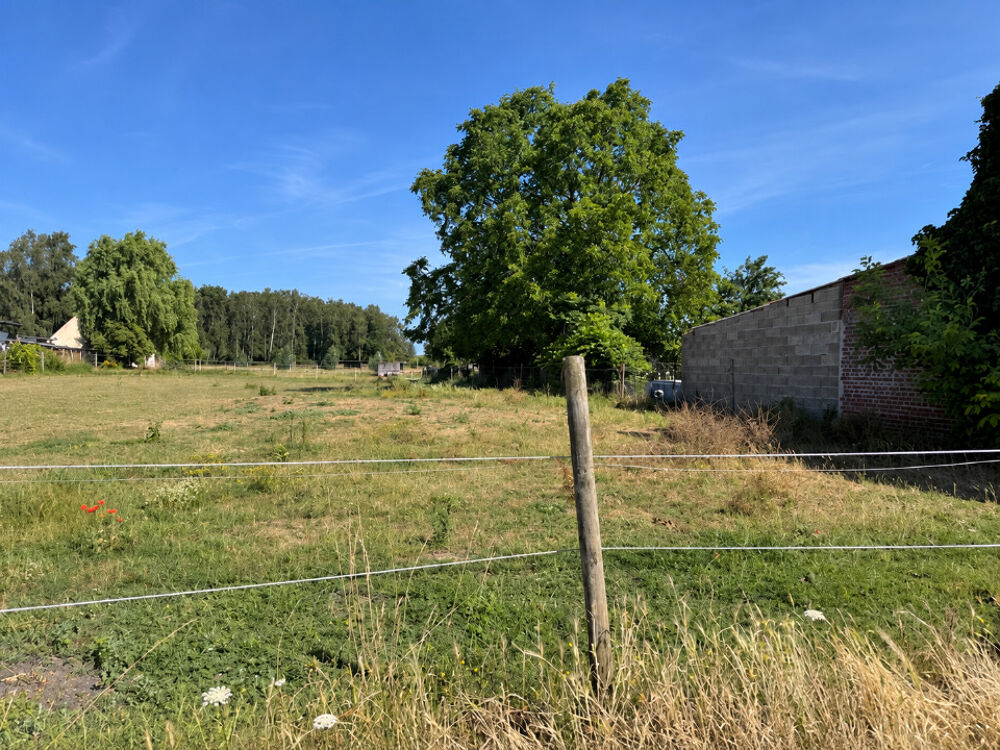 vente Terrain - 1500 m² Anhiers (59194)